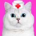 照顾小猫咪电子宠物游戏手机版