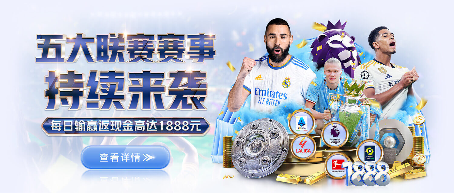 ng28one官方版截图