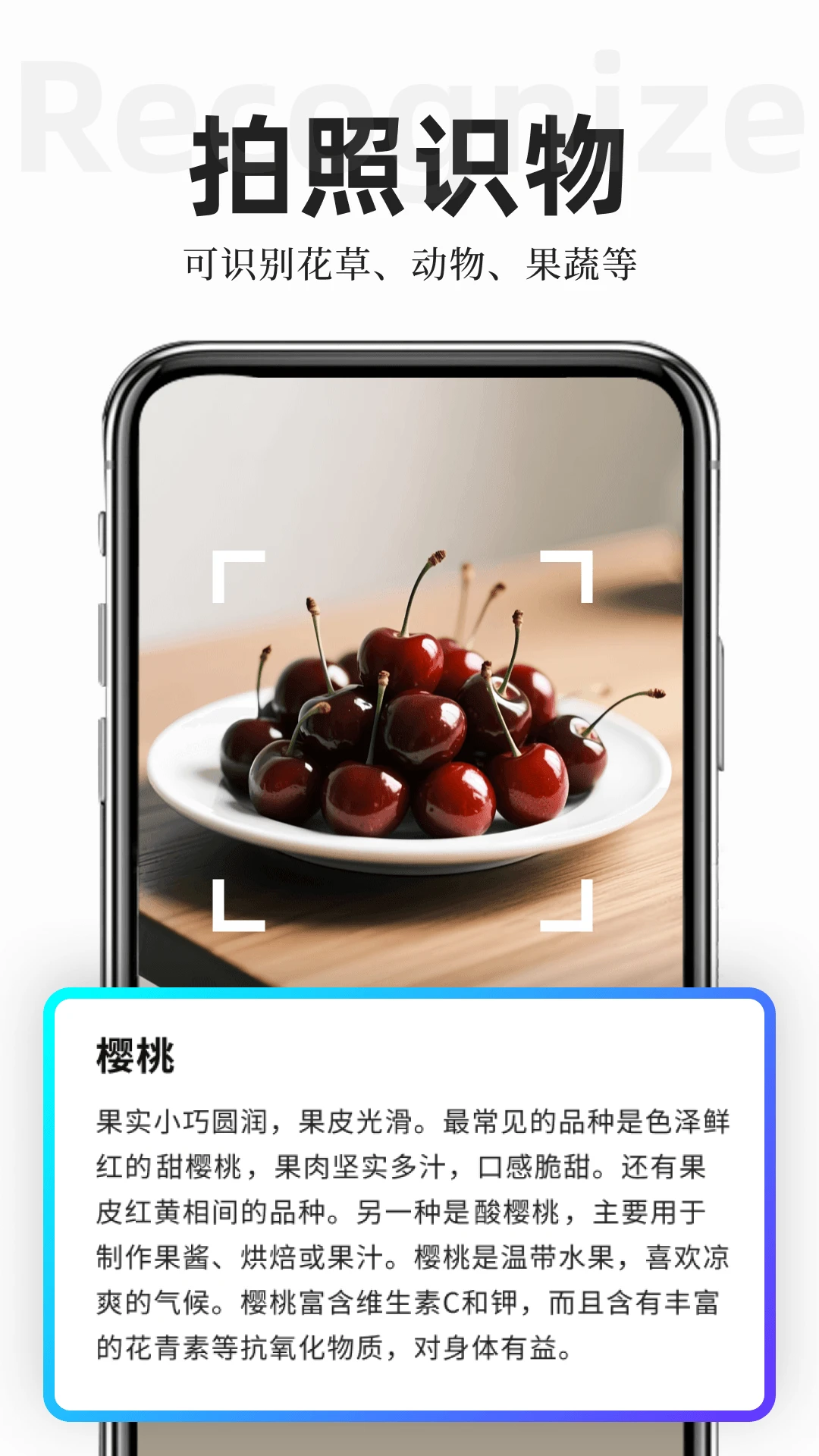 扫描专家官方版截图
