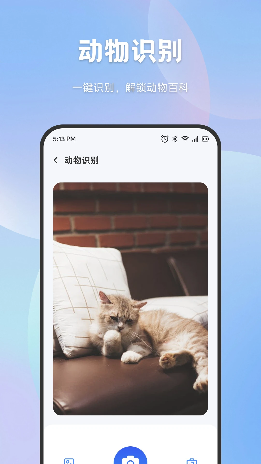 手机搬家互传官方版截图