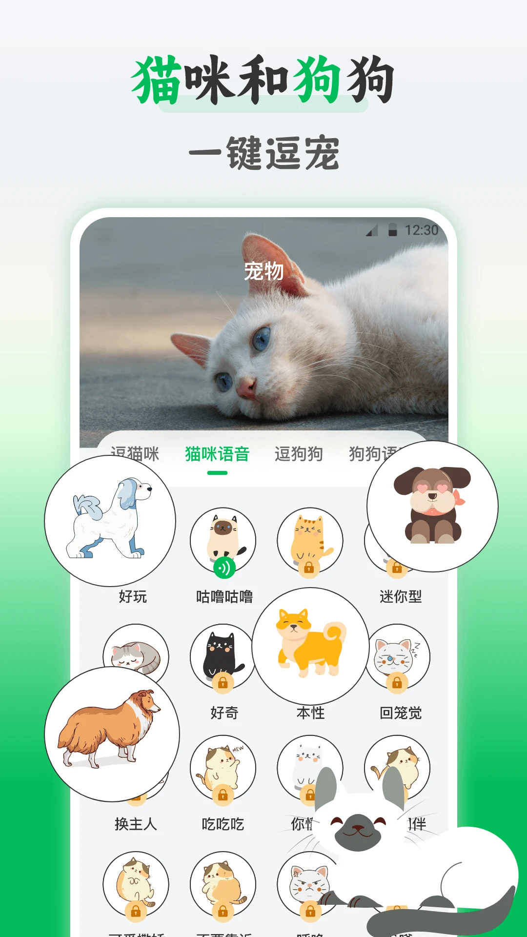 鸟语交流器