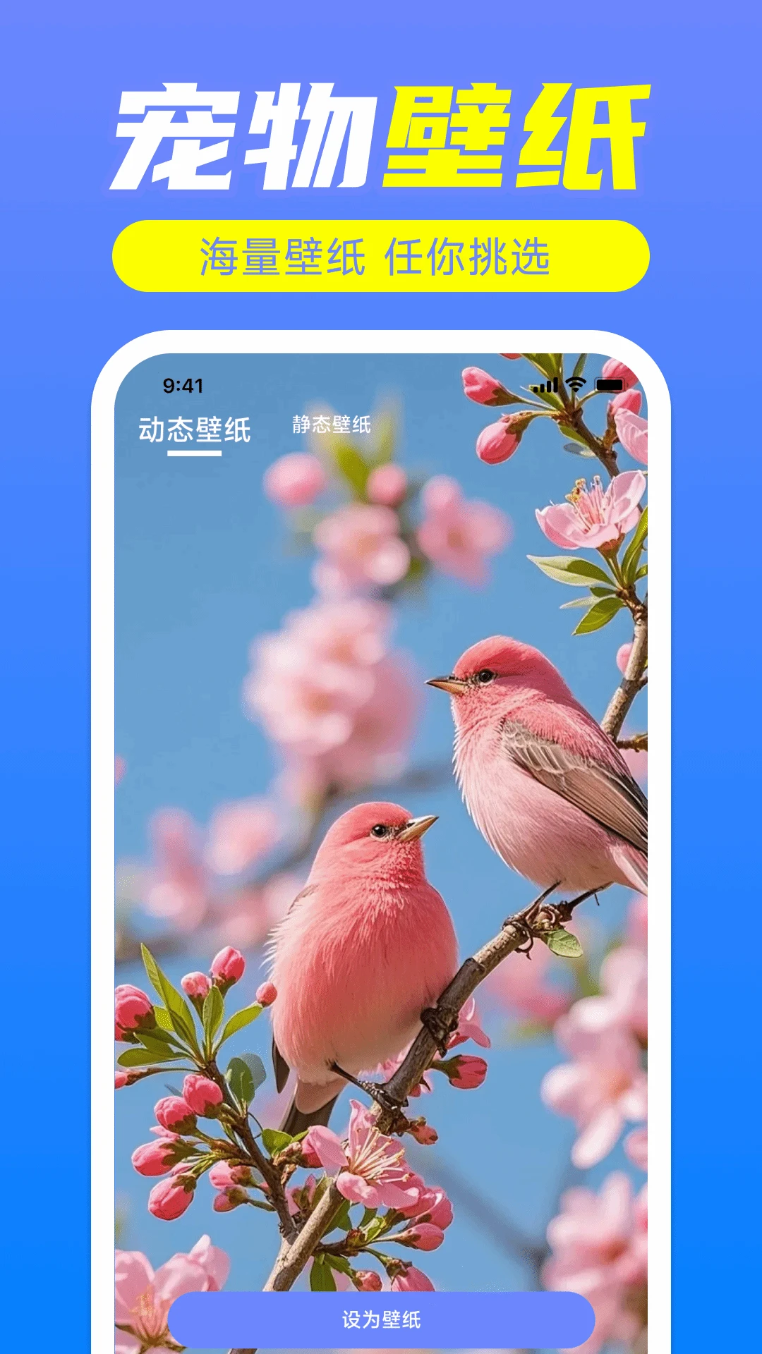 鸟语翻译神器官方版截图