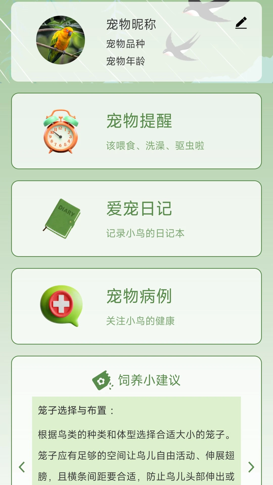 鸟语星球
