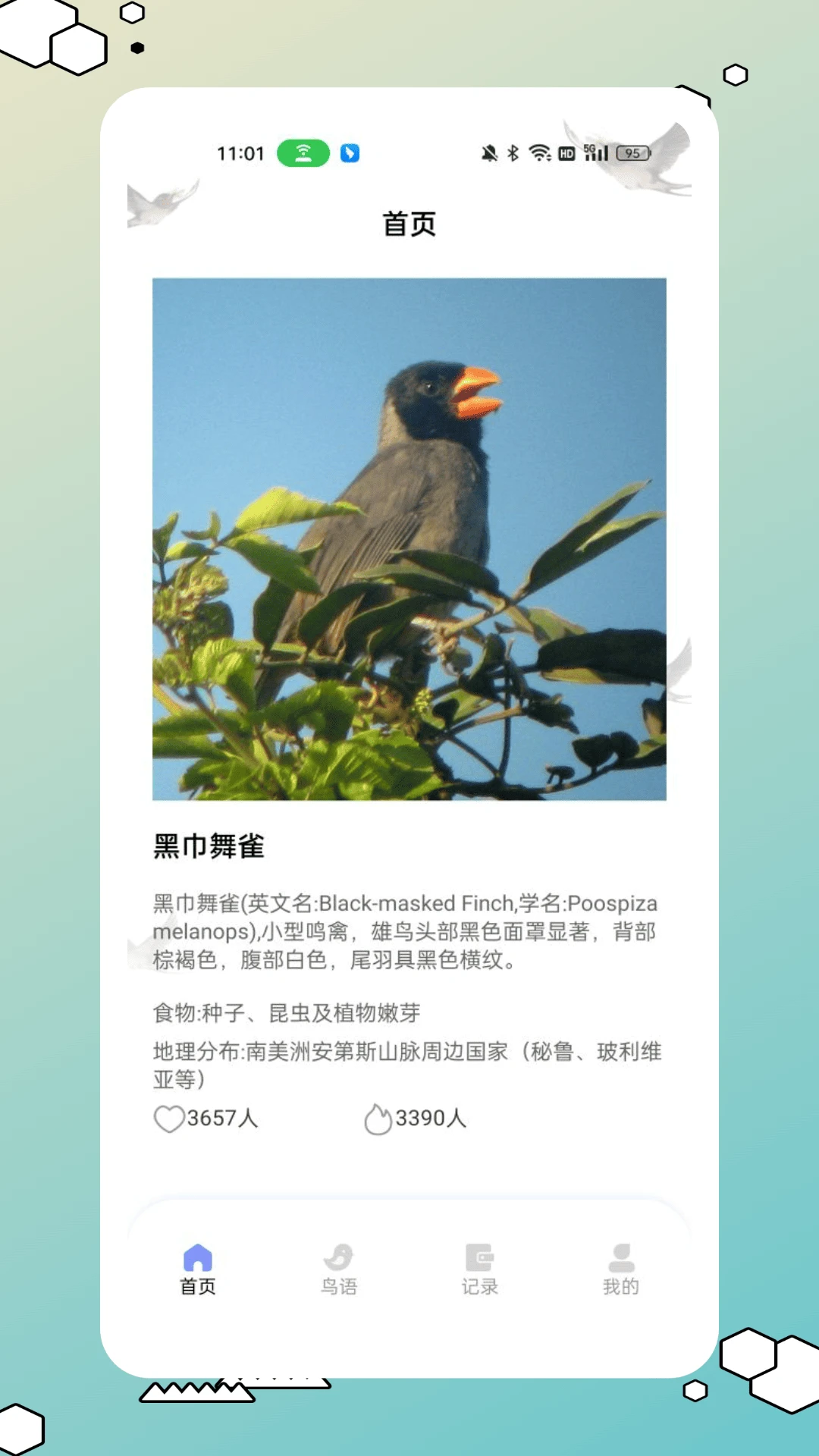 鸟类百科官方版截图