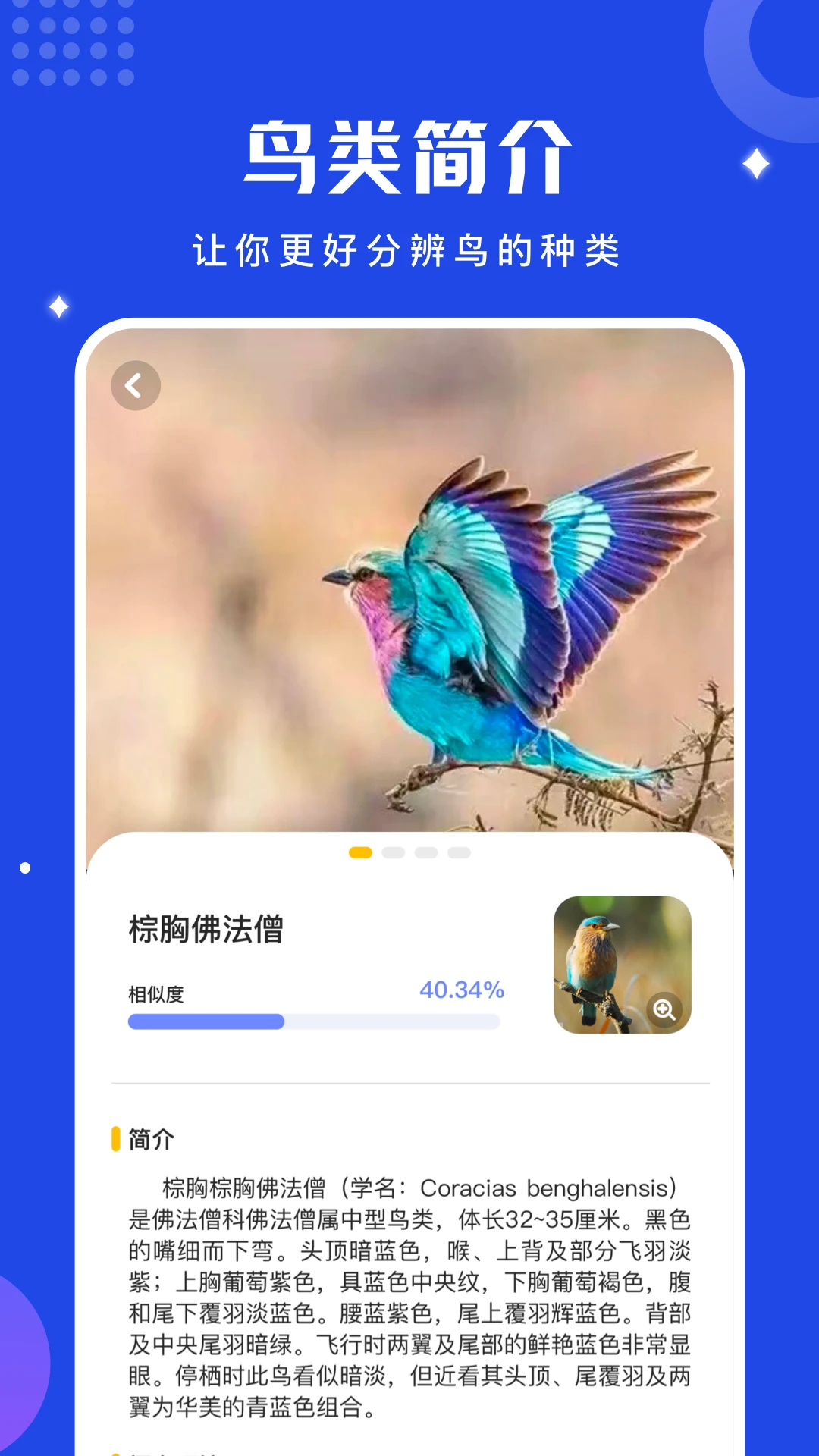 鸟语语言翻译器官方版截图