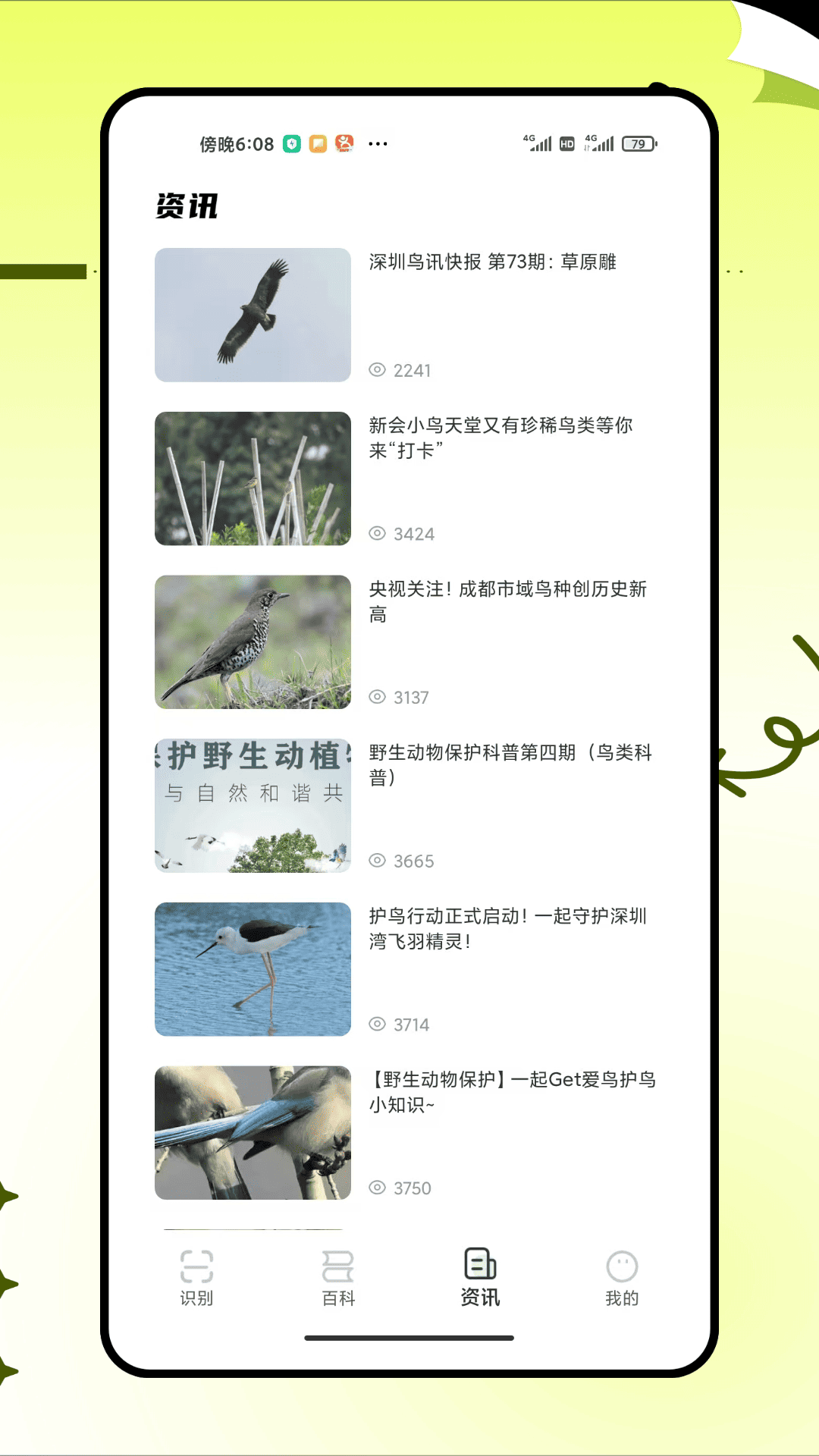 鸟种识别