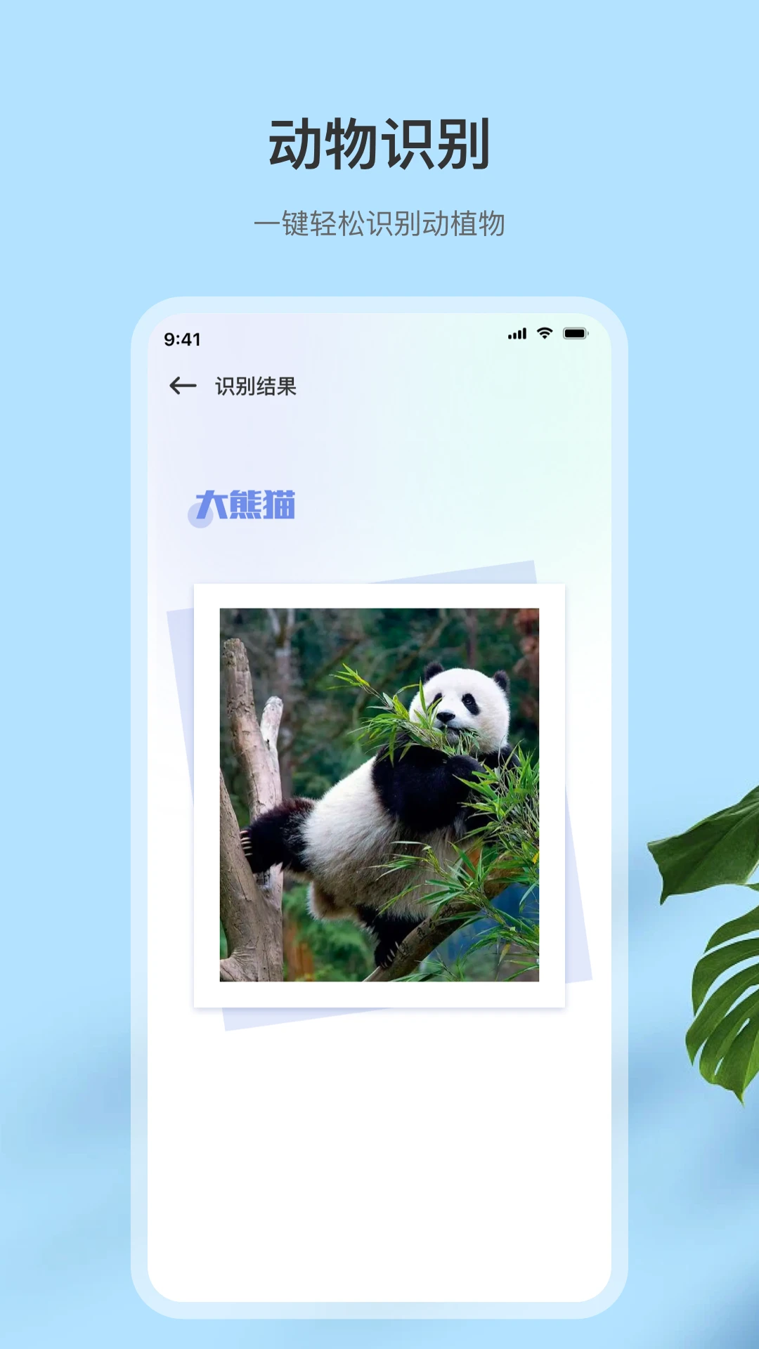 扫描全官方版截图