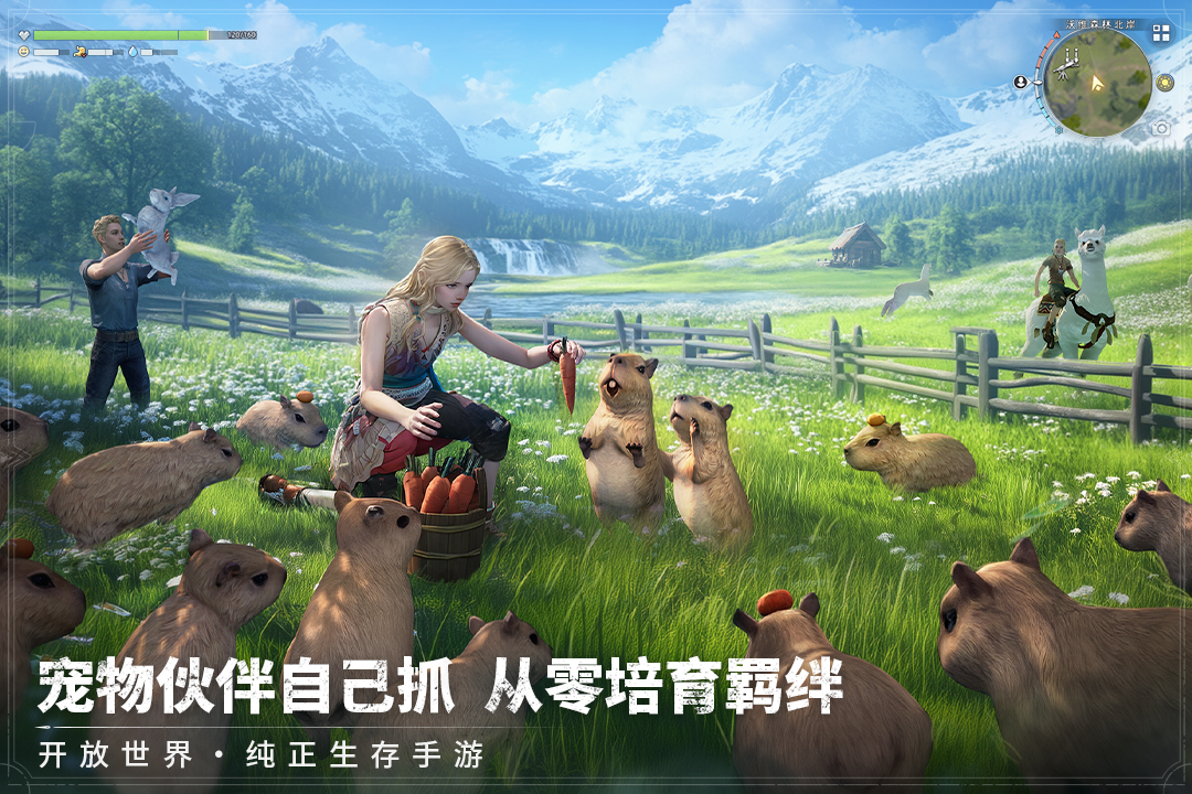荒原曙光官方版截图