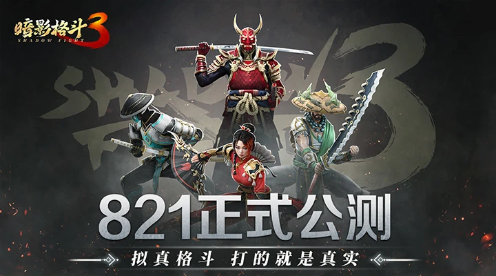 暗影格斗3官方版截图