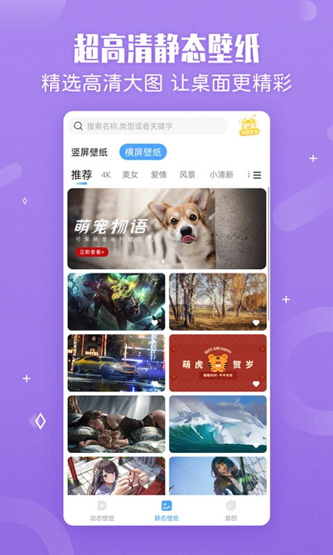 小鸟壁纸官方版截图