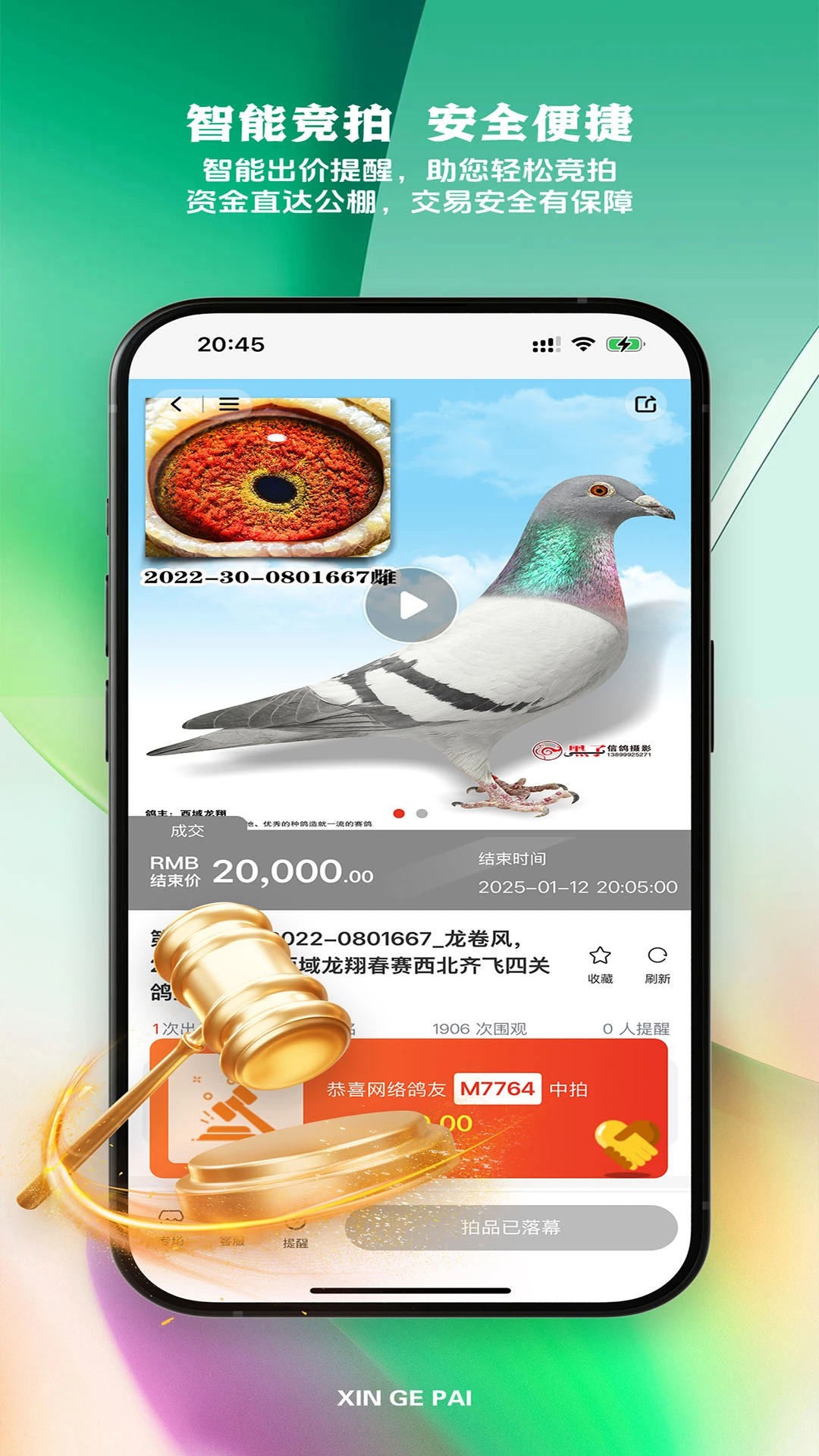 新鸽拍官方版截图
