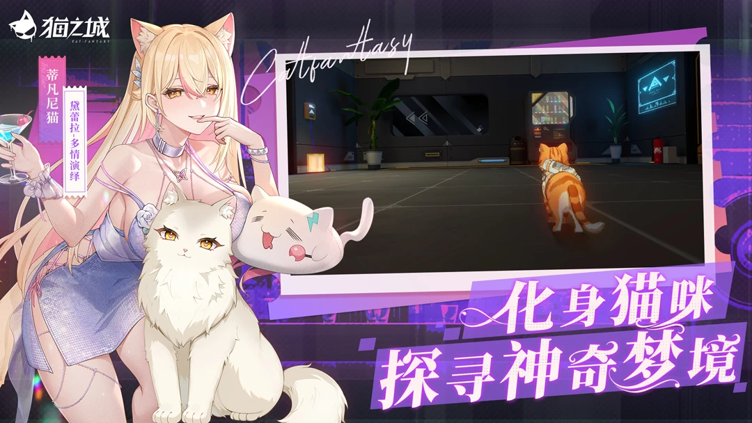 猫之城官方版截图