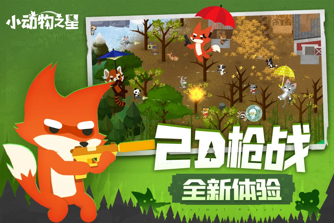 小动物之星