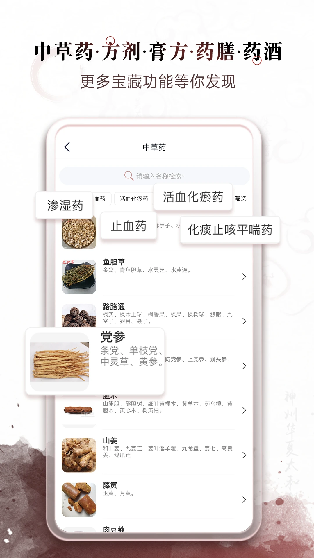 中医经络穴位官方版截图
