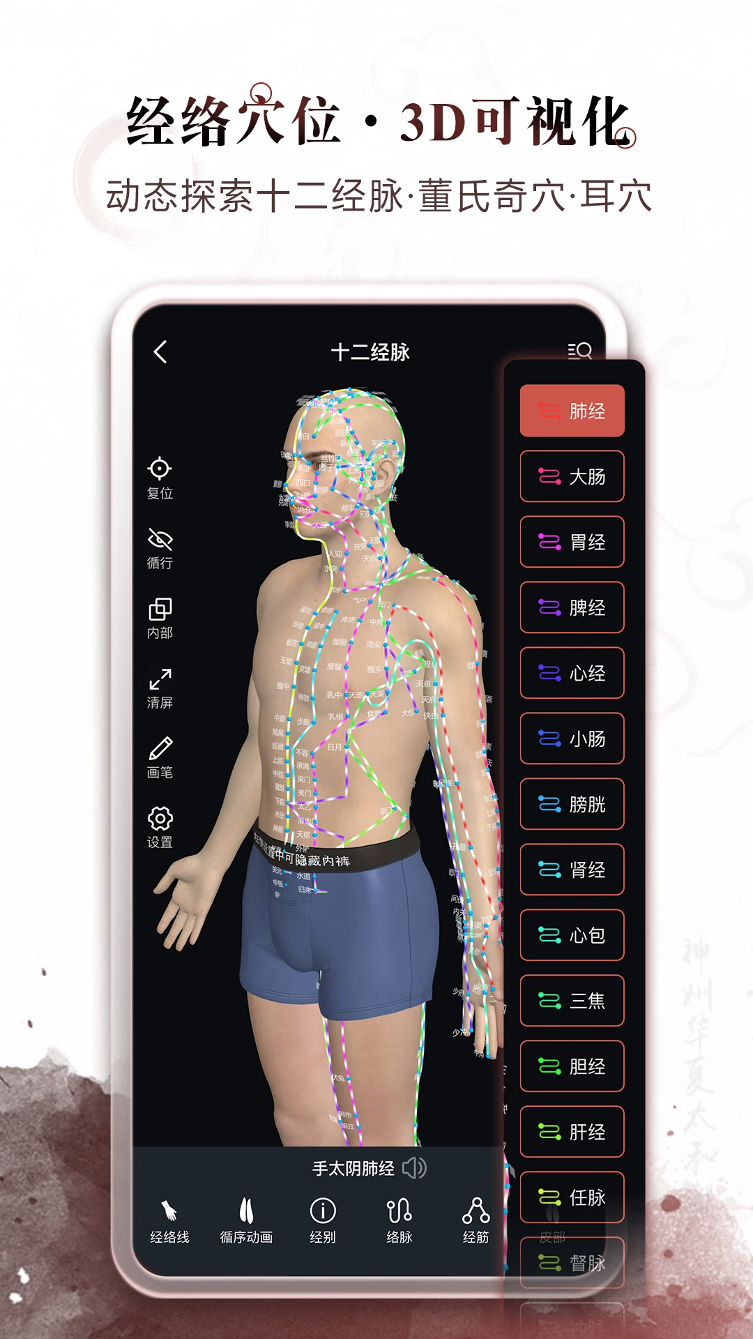 中医经络穴位官方版截图