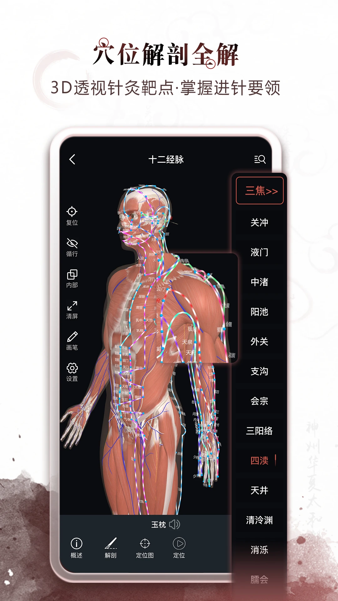 中医经络穴位官方版截图