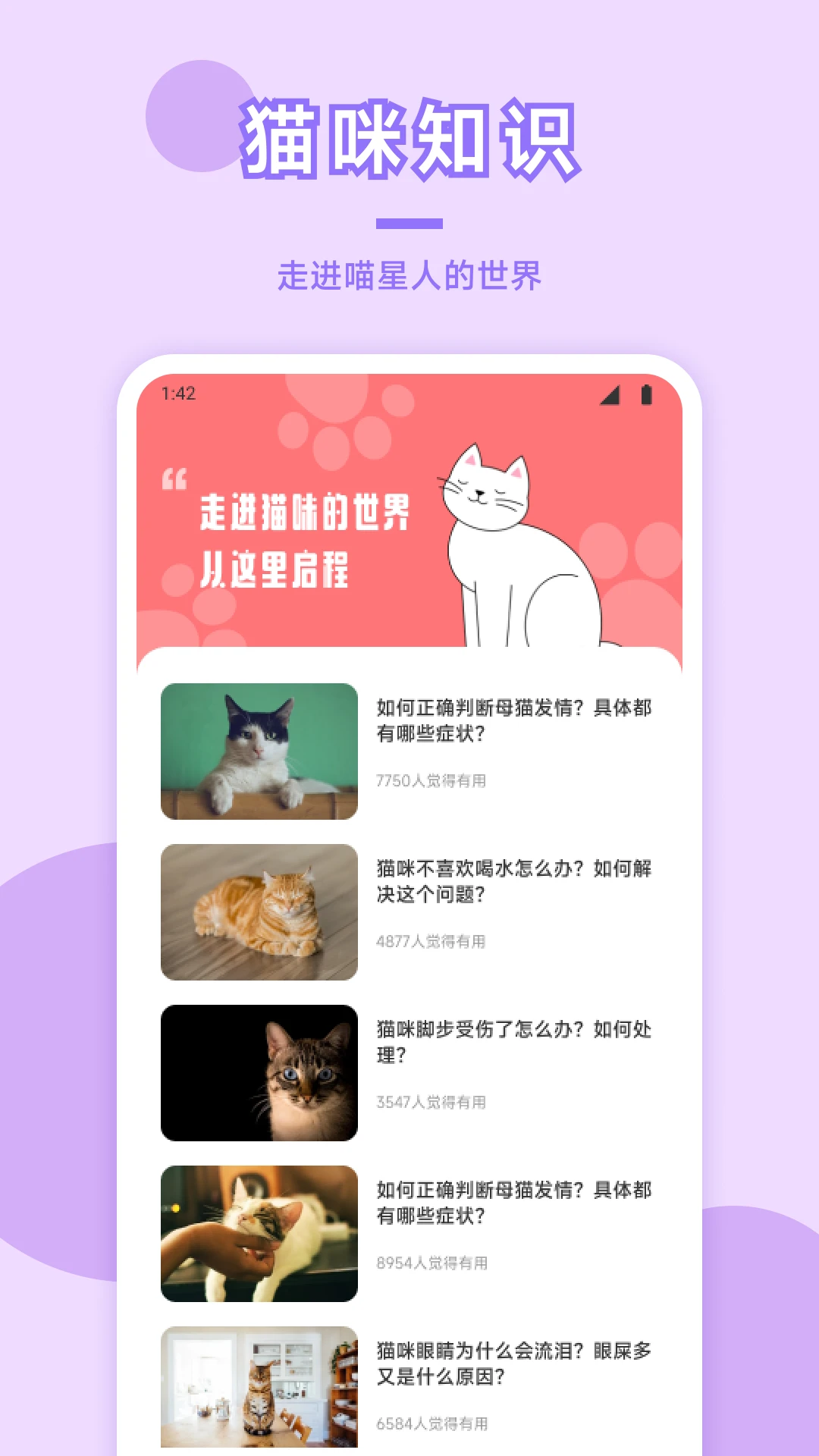 猫咪