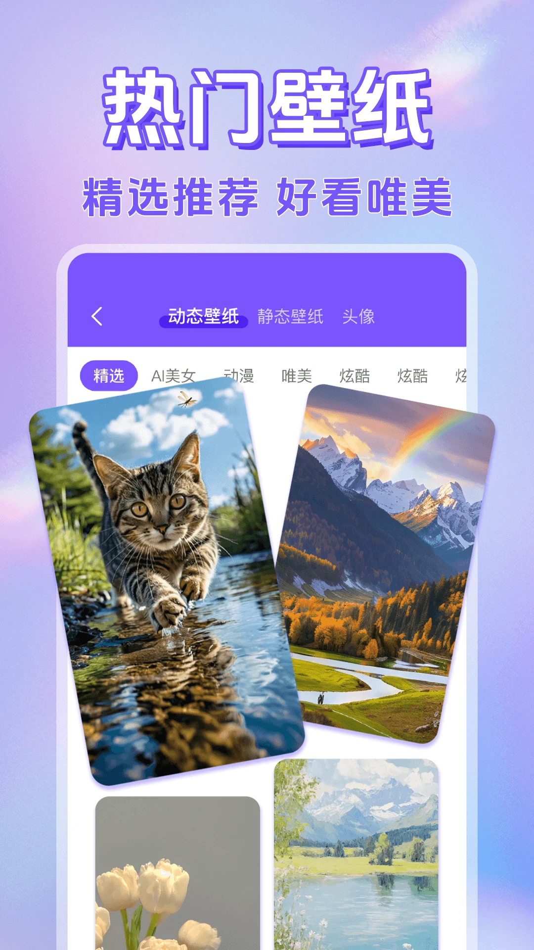 电子桌面萌宠官方版截图
