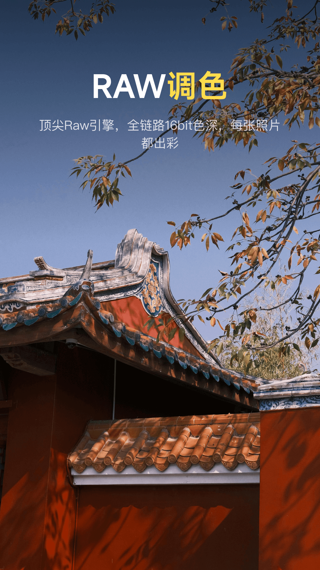 像素蛋糕官方版截图