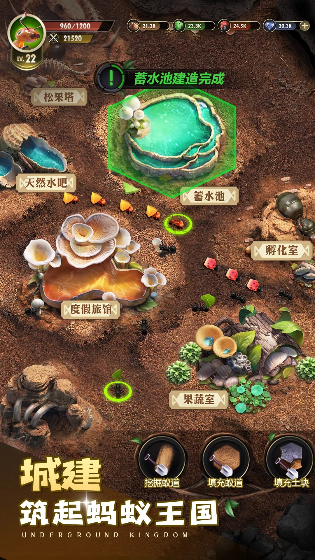 小小蚁国官方版截图