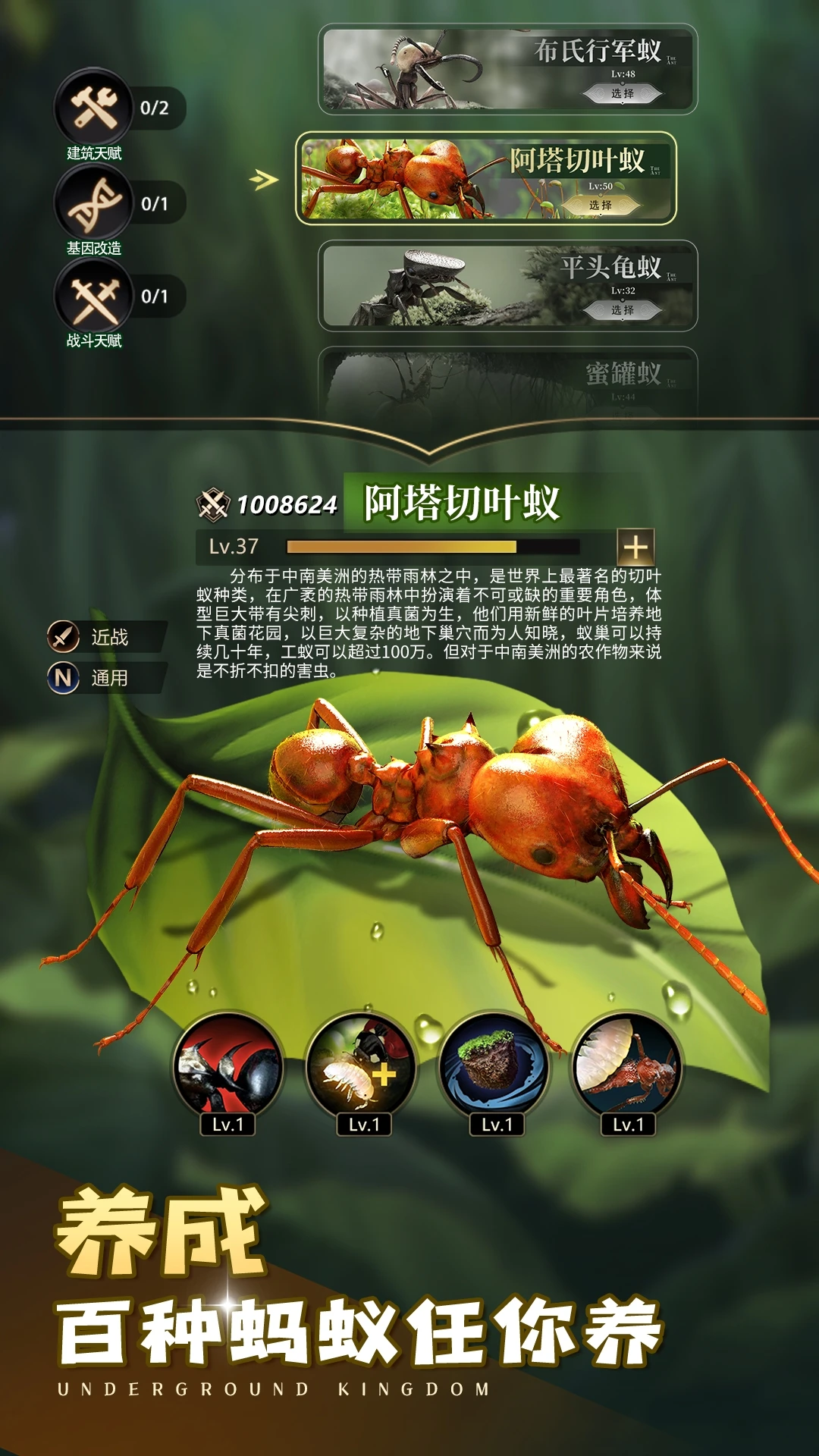 小小蚁国官方版截图