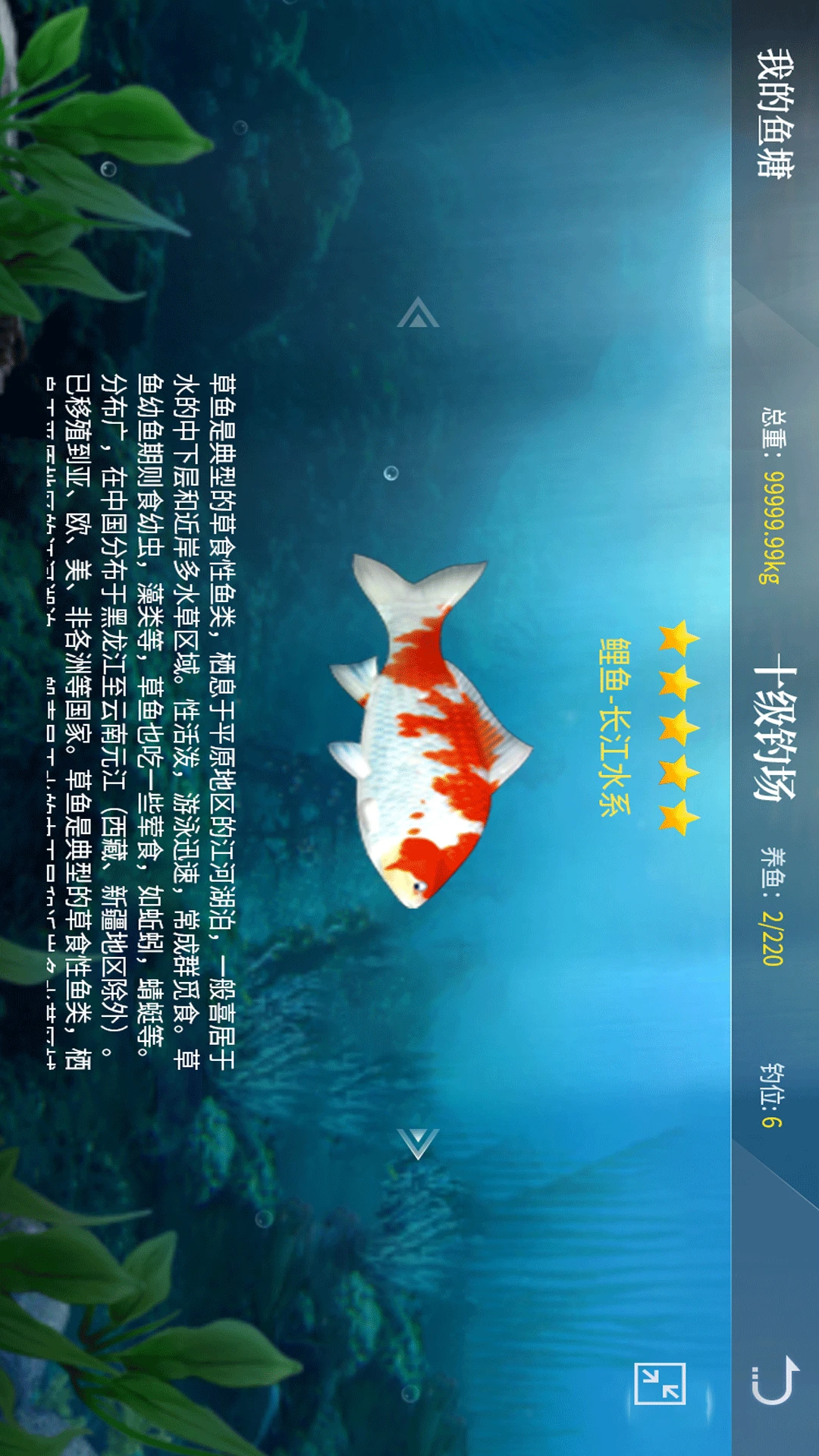 垂钓宗师官方版截图