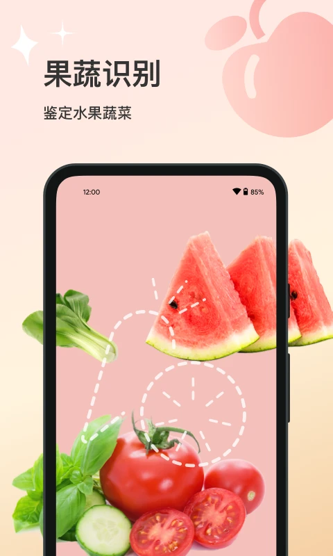 花卉识别官方版截图