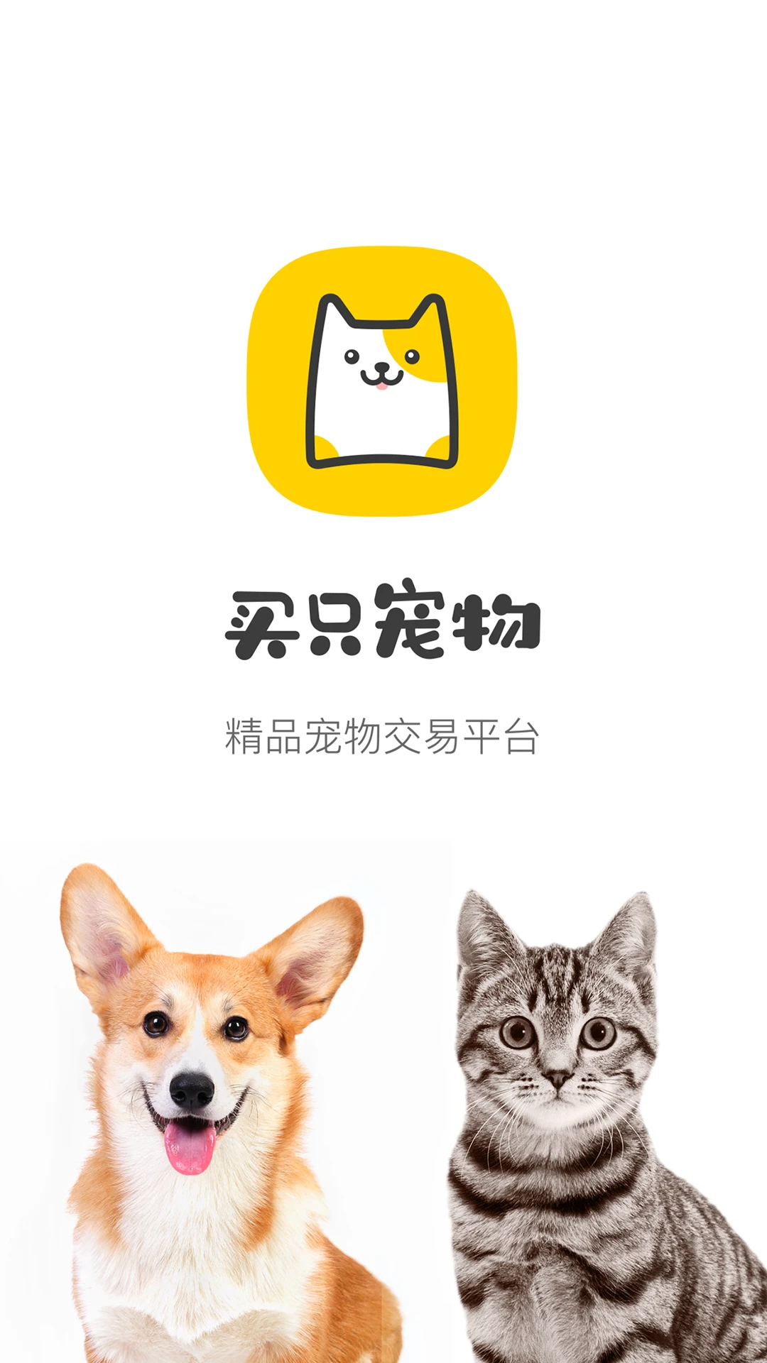 买只宠物官方版截图