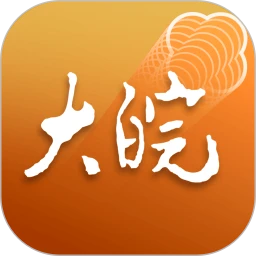 大皖Plus
